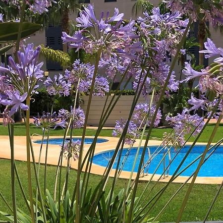 Apartment De Jardines Denia Exteriér fotografie